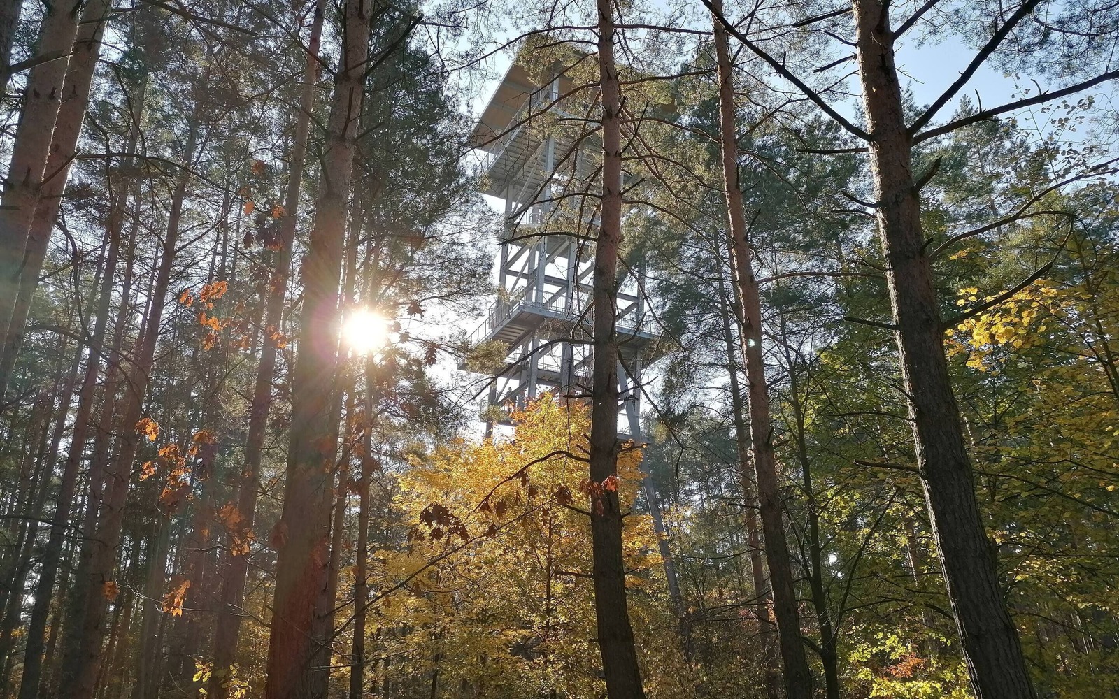 Der Aussichtsturm Senftenberger See ist ein lohnender Abstecher von der Wandertour, Foto: Katja Wersch, Lizenz: Tourismusverband Lausitzer Seenland e. V.